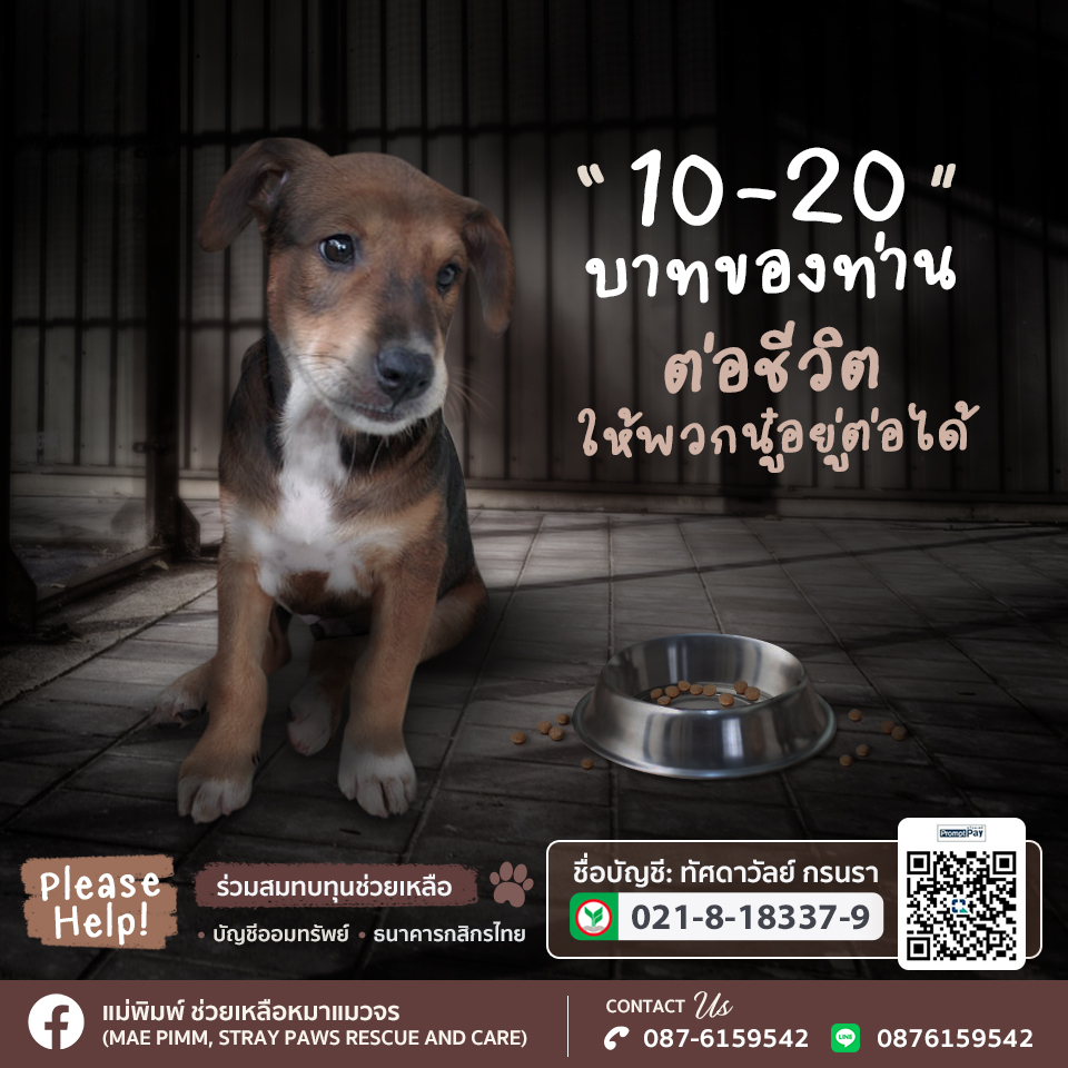 ออกแบบแบนเนอร์โฆษณา facebook , LINE, IG