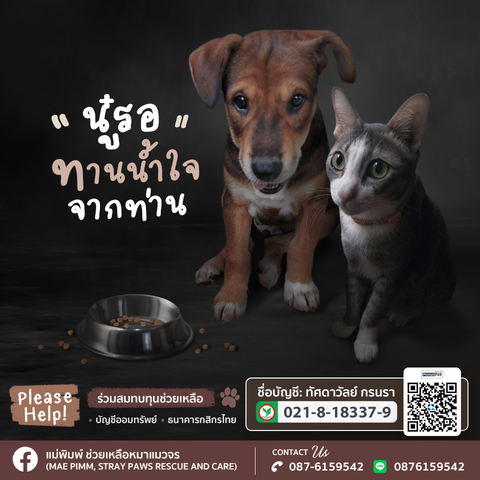 ออกแบบแบนเนอร์โฆษณา facebook , LINE, IG