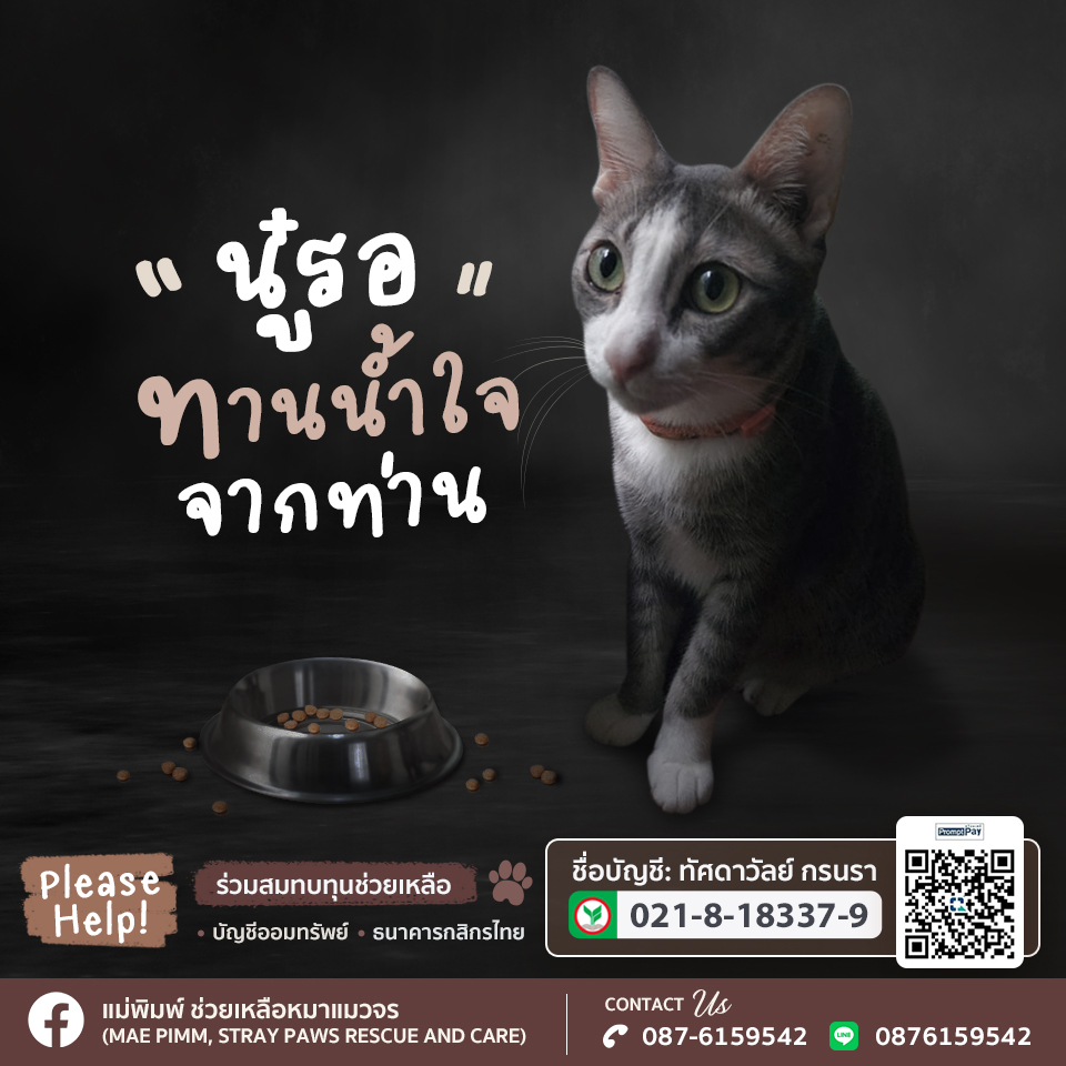 ออกแบบแบนเนอร์โฆษณา facebook , LINE, IG