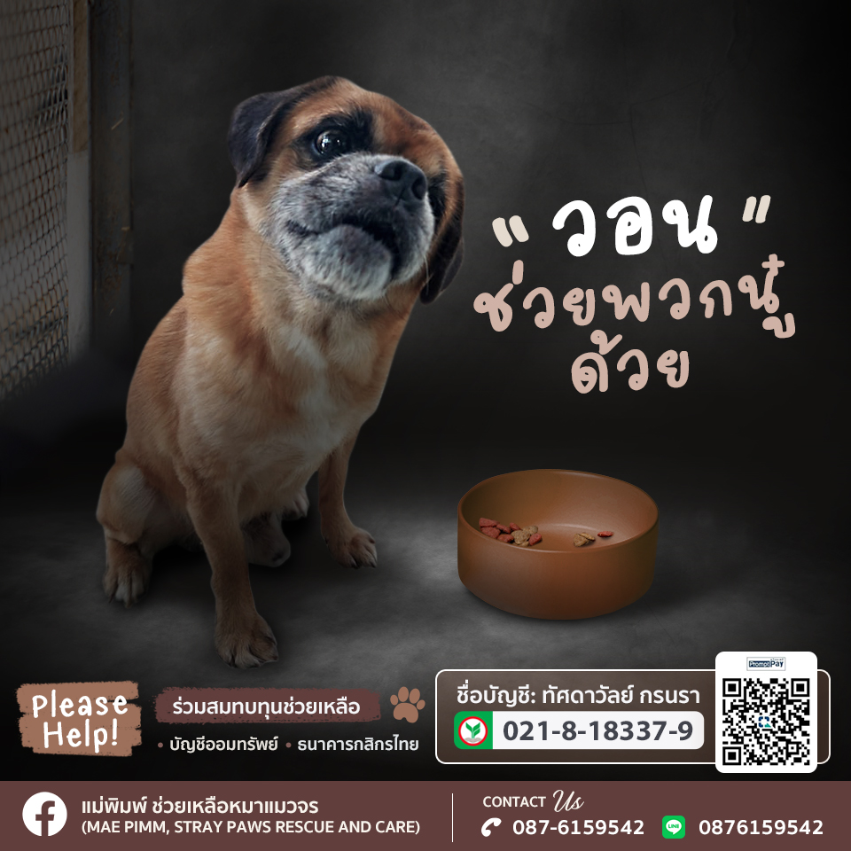 ออกแบบแบนเนอร์โฆษณา facebook , LINE, IG